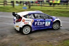 Birr Stages Rally 2019