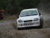 003 Carrick on Suir Forestry 2011
