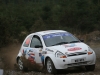 008 Carrick on Suir Forestry 2011