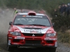 010 Carrick on Suir Forestry 2011