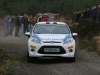 015 Carrick on Suir Forestry 2011