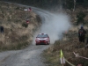 016 Carrick on Suir Forestry 2011