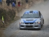017 Carrick on Suir Forestry 2011