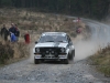 019 Carrick on Suir Forestry 2011