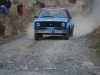 020 Carrick on Suir Forestry 2011
