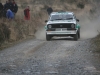 021 Carrick on Suir Forestry 2011