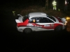 031 Carrick on Suir Forestry 2011