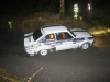 032 Carrick on Suir Forestry 2011