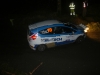 033 Carrick on Suir Forestry 2011