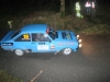 034 Carrick on Suir Forestry 2011