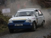039 Carrick on Suir Forestry 2011