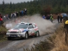 041 Carrick on Suir Forestry 2011