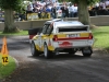 128Lurgan Park 2010
