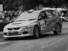 137Lurgan Park 2010