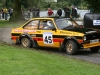 189Lurgan Park 2010