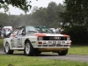 091 Lurgan Park Rally 2011
