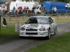 154 Lurgan Park Rally 2011