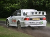 156 Lurgan Park Rally 2011