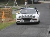 174 Lurgan Park Rally 2011