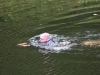 nore swim 2010 009