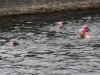 nore swim 2010 033