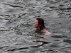 nore swim 2010 042