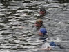 nore swim 2010 097