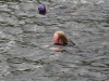 nore swim 2010 116