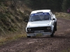 001 Tipp Forestry 2011