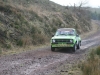 025 Tipp Forestry 2011