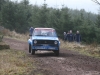 031 Tipp Forestry 2011