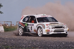 World Rally Masters 2001