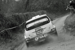 Birr Stages Rally 2016